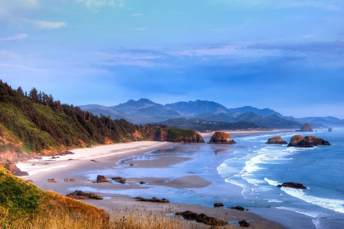 A sweeping view of the sandy beach with dramatic rock formations, gentle waves rolling ashore, and distant mountains under a wide sky. The open shoreline is perfect for walks and play, matching the narrative's emphasis on direct beach access and outdoor pet-friendly enjoyment.